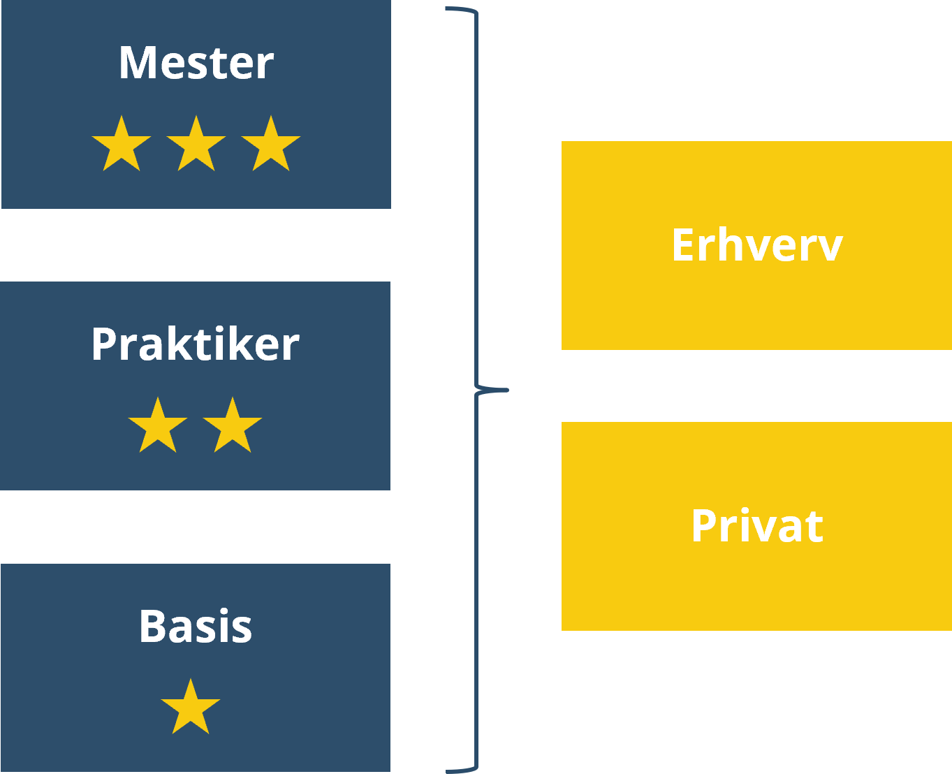 Hjørnestenene i konceptet er opdelt i niveauerne Basis, Praktiker og Mester. Enhver rådgiver har mulighed for at blive excellent på sit eget niveau. 