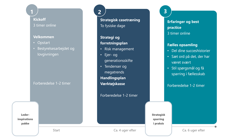 Opbygning af Erhverv, strategi og sparring